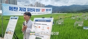 저탄소 농업에 박차!... '감탄' 벼 품종개발 화제