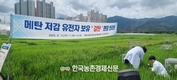 저탄소 농업에 박차!... '감탄' 벼 품종개발 화제