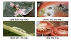 이승돈 농촌진흥청장, 첫 행보는 ‘농작물 병해충 방제’ 현장