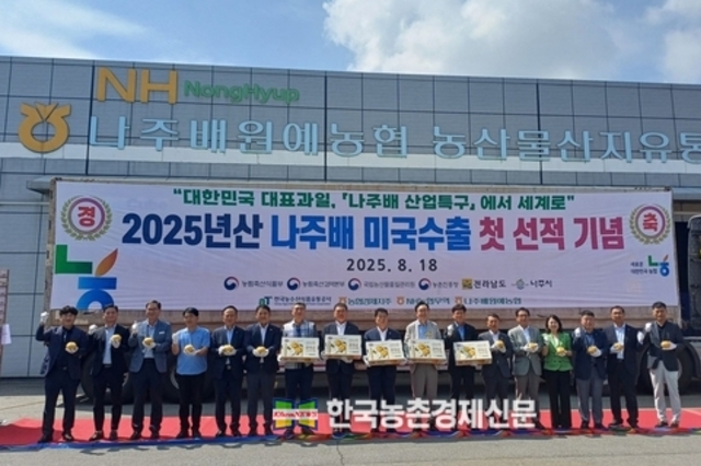 농협, 햇배 본격 출하!... 원황배 대미 수출 나서