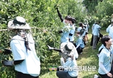 농협상호금융, NH콕서포터즈와 ‘국민과 같이 농촌봉사활동’ 실천
