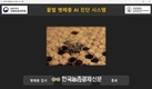 ‘꿀벌응애’ AI로 쉽게 포착... 스마트장비 ‘비전’ 세계 최초 개발