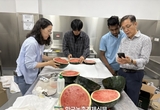 국산 멜론·수박 두바이 수출에 성공