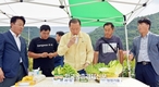 aT, ‘기후변화 대응 여름배추’ 신품종·재배적지 정선 현장 긴급점검