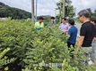 ‘신품종 약용작물'... 산업 현장 안정 생산·보급