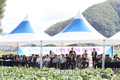농진청, ‘준고랭지 배추 수확 9월로 앞당겨’ 종합 기술 효과 입증