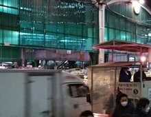 배추 ‘장기저장 기술’ 눈길... 들쭉날쭉한 배추 수급 불안해소 기대