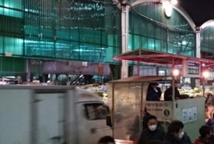 배추 ‘장기저장 기술’ 눈길... 들쭉날쭉한 배추 수급 불안해소 기대