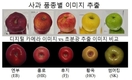 사과 속살 특성까지 ‘초분광’으로 신속 정확 판별