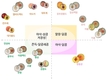 농진청, 수요자 맞춤 복숭아 맛 지도 ‘품종 특성 한눈에 보이네’