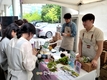 ‘청년의 날’ 기념, ‘청년농업인 농산물 판매전’ 개최
