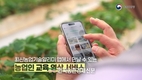 농촌진흥청 “네이버와 손잡고 '농업AI' 첫선” 화제