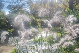 전국 '양곡창고' 노후화 심각