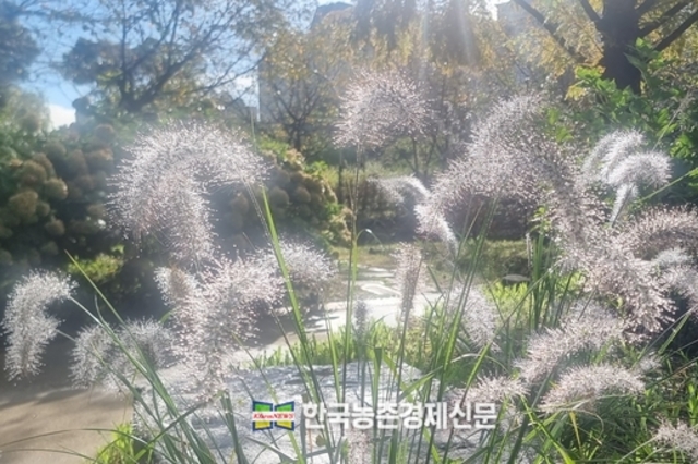 전국 '양곡창고' 노후화 심각