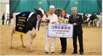 한국홀스타인품평회 성황리에 마쳐
