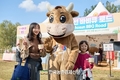 한우자조금, ‘서울 바비큐 페스타’...한우 가치와 품격 알리는 마당