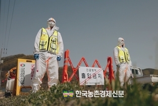 고병원성 조류인플루엔자 'AI 위험주의보’ 발령