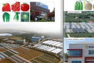 “내년 고추농사 뭘 파종할까? ...‘왕조’, ‘한방에’ 12월 고추품종 추천