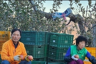 대한민국 대표과일 선발대회 27일 개막!...경북 의성 ‘사과’ 大賞 선발!