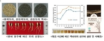 농진청, 항산화 활성 높인 ‘맥아차’ 제조기술 개발