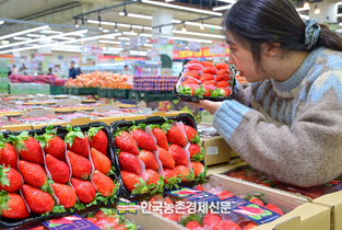 '킹스베리' 첫출하...하나로마트 본격 판매!