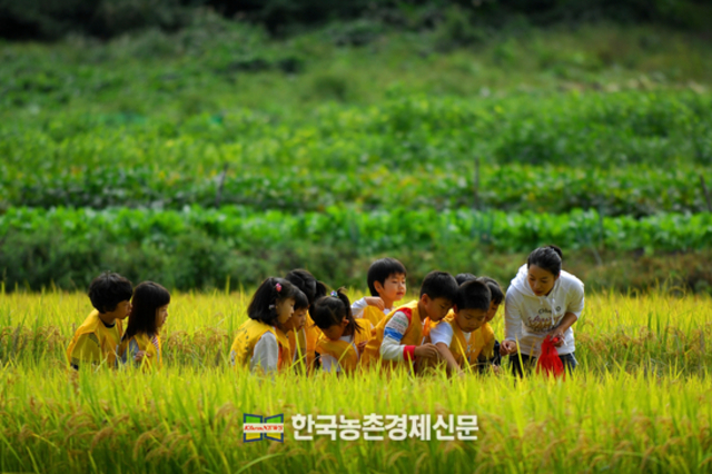 농가 공동경영주 농외 '겸업 허용'