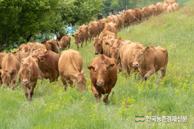 FTA 피해보전직불제 일몰 임박...‘농업 안전망' 붕괴 위험