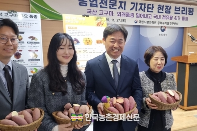 국산 고구마, 외래품종 밀어내고 국내 점유율 41 돌파