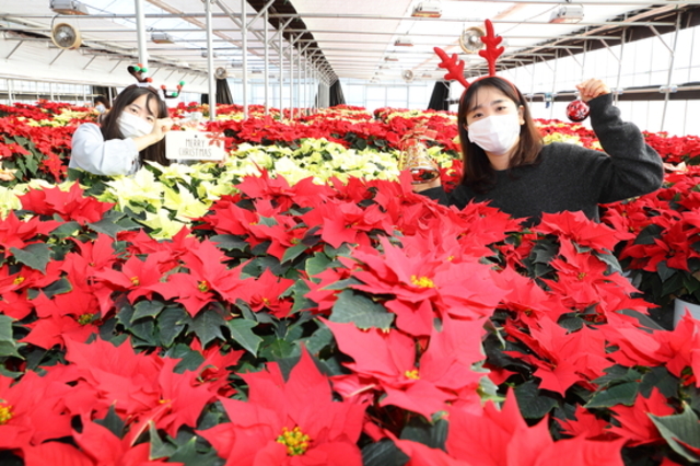 '농자재값 널뛰기' 예방될 듯...농민들 기대