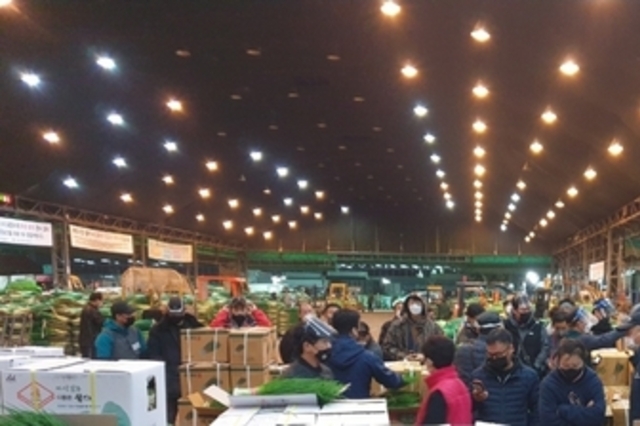 송미령 농림축산식품부장관 신년사