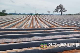 농금원, 2025 농식품 크라우드펀딩 인베스트 커넥트 개최