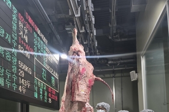 한우협회, '홍성한우 능력평가대회' 개최