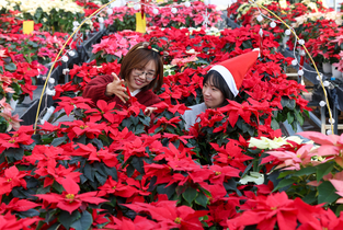 '농식품펀드' 투자자들 우르르!...역대 최대규모 결성 큰 성과!