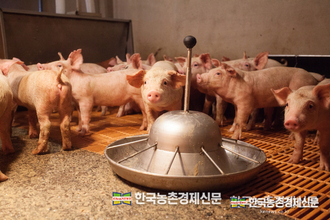 이기홍 대한한돈협회 회장 신년사