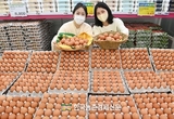 잇따른 AI 발생...조심스럽게 '미국산 계란' 수입 추진