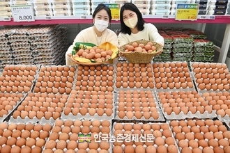 잇따른 AI 발생...조심스럽게 '미국산 계란' 수입 추진