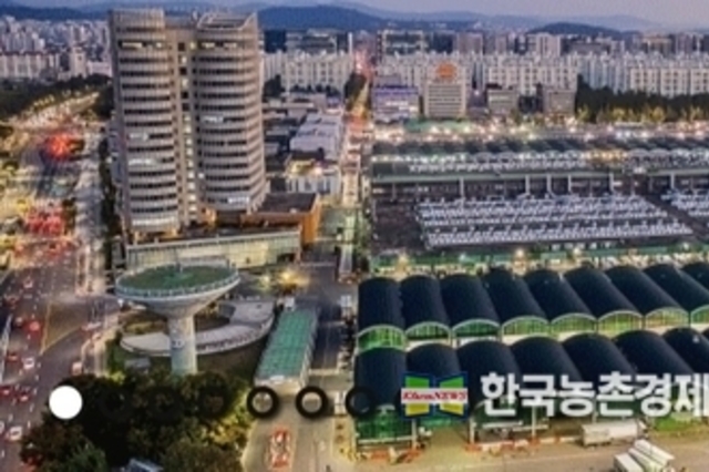 가락시장, 설 연휴 휴장일 발표..."출하 유의해야"