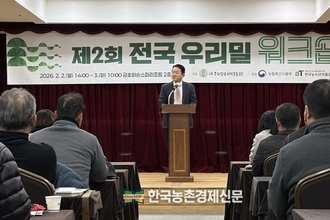 '국산밀' 소비 활성화에 고심