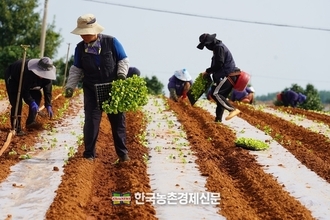 농어촌 기본소득 시범사업으로 인구·경제 반등 시동