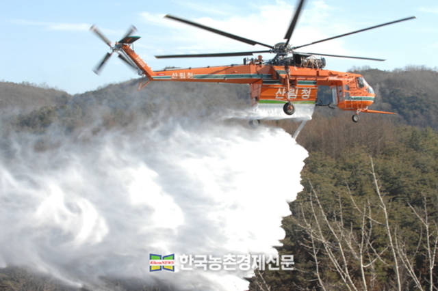 '산불예방!'...정부, 대국민 담화문 발표