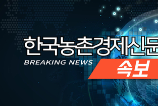 경남 함양 산불 주불진화 완료