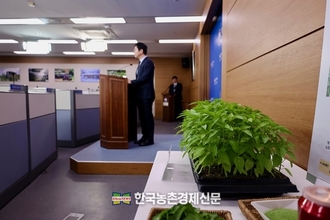 농진청, 고춧잎 혈당 관리에 도움...환·차·국수로 변신