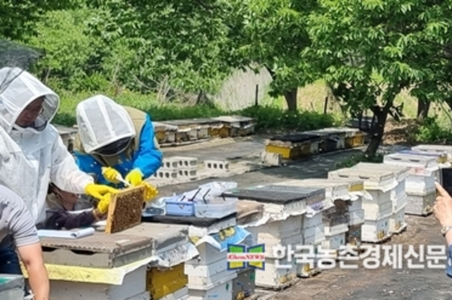 양봉협회, '산림자원법개정안’ 국회 통과 환영...양봉농가들 기대
