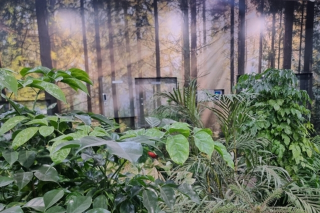 '해외산림' 투자 활성화 융자 지원... 4월 17일까지 신청