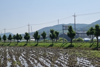 경농, 벼 종자 소독 '팜닥터' 추천..."벼농사 절반은 종자 처리단계 가장 중요"
