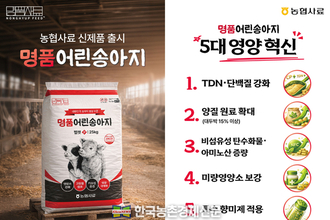 농협사료, ‘명품어린송아지’ 사료 신제품 출시