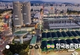 가락시장 ‘선어와 패류’ 4월부터 통합 경매