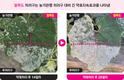 경농, 채소밭 흰가루병 치료제 '알투도' 출시