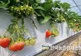 경농, 채소밭 흰가루병 치료제 '알투도' 출시