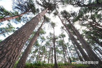 산림조합, 임업용 '면세유' 유가보조금 긴급 지원